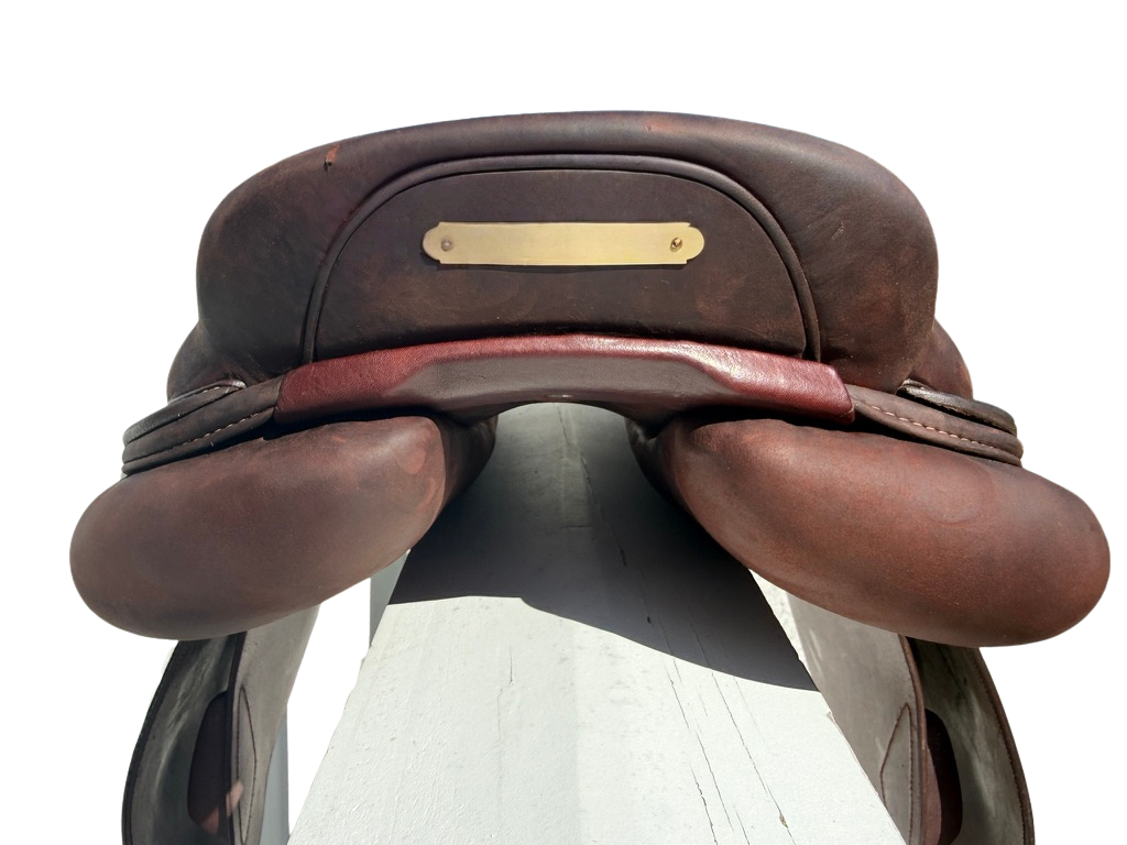 Back of the saddle, cantle and rear panels